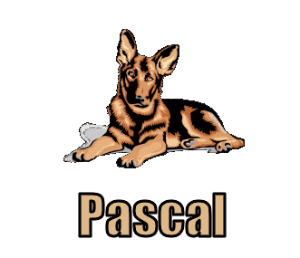 Pascal namen bilder