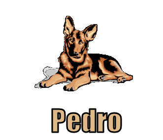 Pedro namen bilder