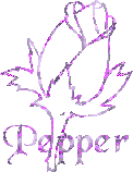 Pepper namen bilder