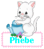 Phebe namen bilder
