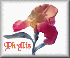 Phyllis namen bilder
