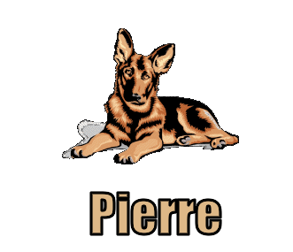 Pierre namen bilder