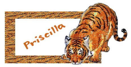 Priscilla namen bilder