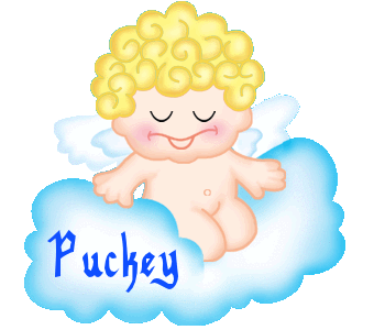 Puckey namen bilder