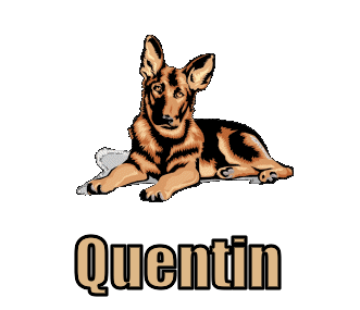 Quentin namen bilder