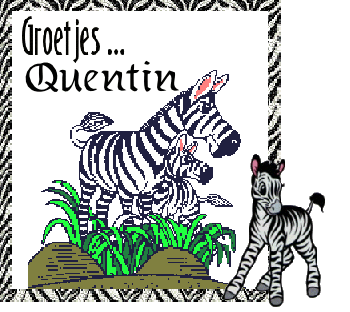 Quentin namen bilder