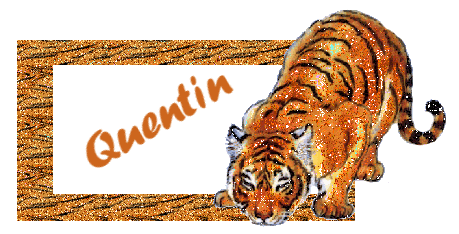 Quentin namen bilder