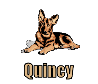 Quincy namen bilder