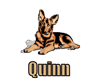 Quinn namen bilder