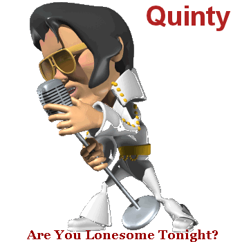 Quinty namen bilder