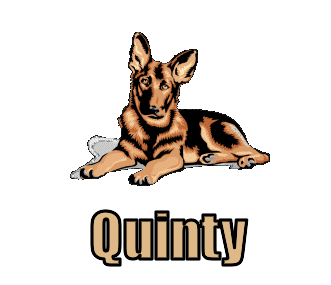 Quinty namen bilder