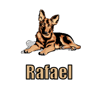 Rafael namen bilder
