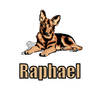Raphael namen bilder