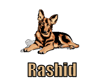 Rashid namen bilder