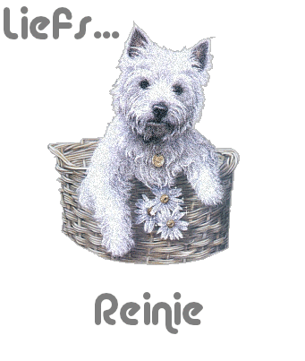 Reinie namen bilder