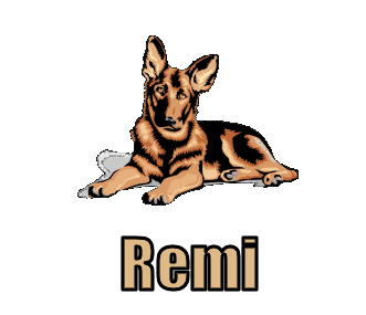 Remi namen bilder
