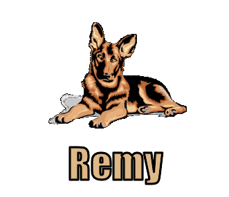 Remy namen bilder