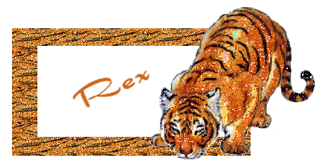 Rex namen bilder