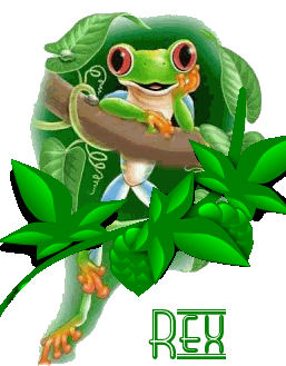 Rex namen bilder