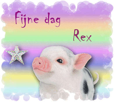 Rex namen bilder