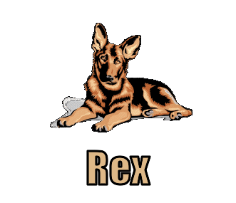 Rex namen bilder