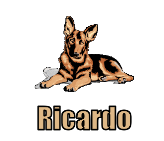 Ricardo namen bilder