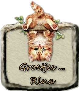 Rina namen bilder