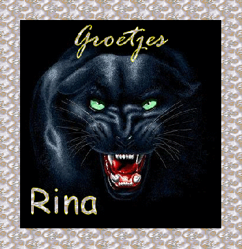 Rina namen bilder