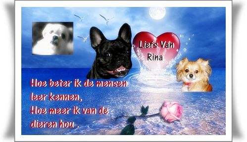 Rina namen bilder