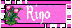 Rino namen bilder