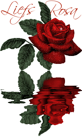 Rosa namen bilder