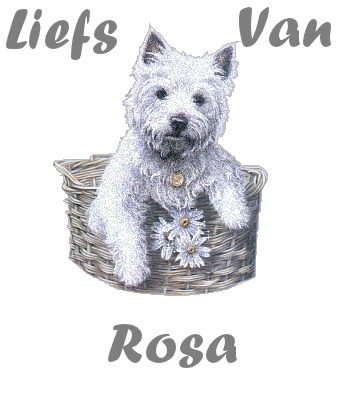 Rosa namen bilder
