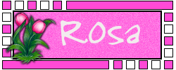 Rosa namen bilder