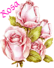 Rosa namen bilder