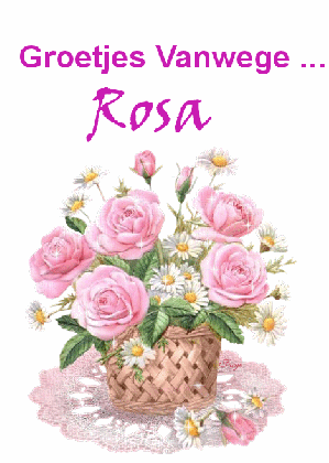Rosa namen bilder