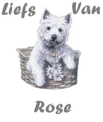 Rose namen bilder