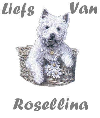 Rosellina