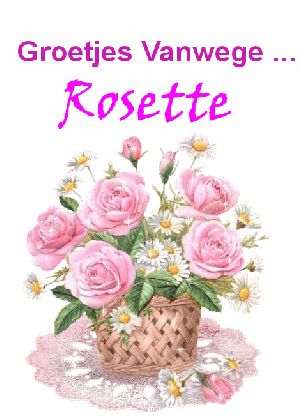 Rosette namen bilder