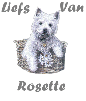 Rosette namen bilder