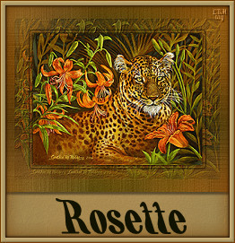 Rosette