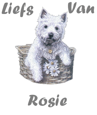 Rosie namen bilder