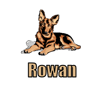 Rowan namen bilder