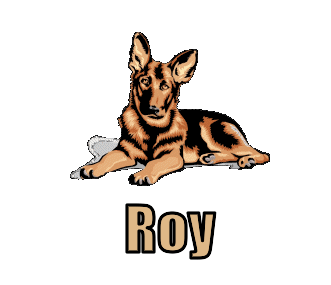 Roy namen bilder