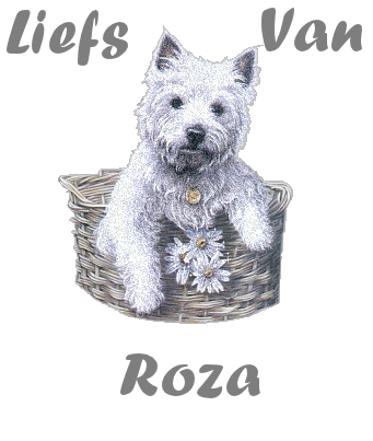 Roza namen bilder