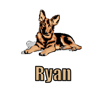 Ryan namen bilder
