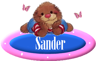 Sander