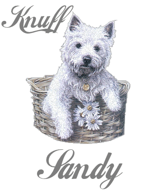 Sandy namen bilder