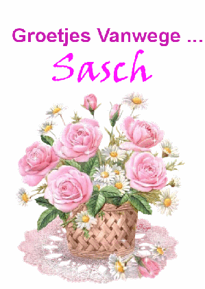 Sasch