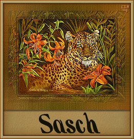 Sasch