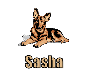 Sasha namen bilder